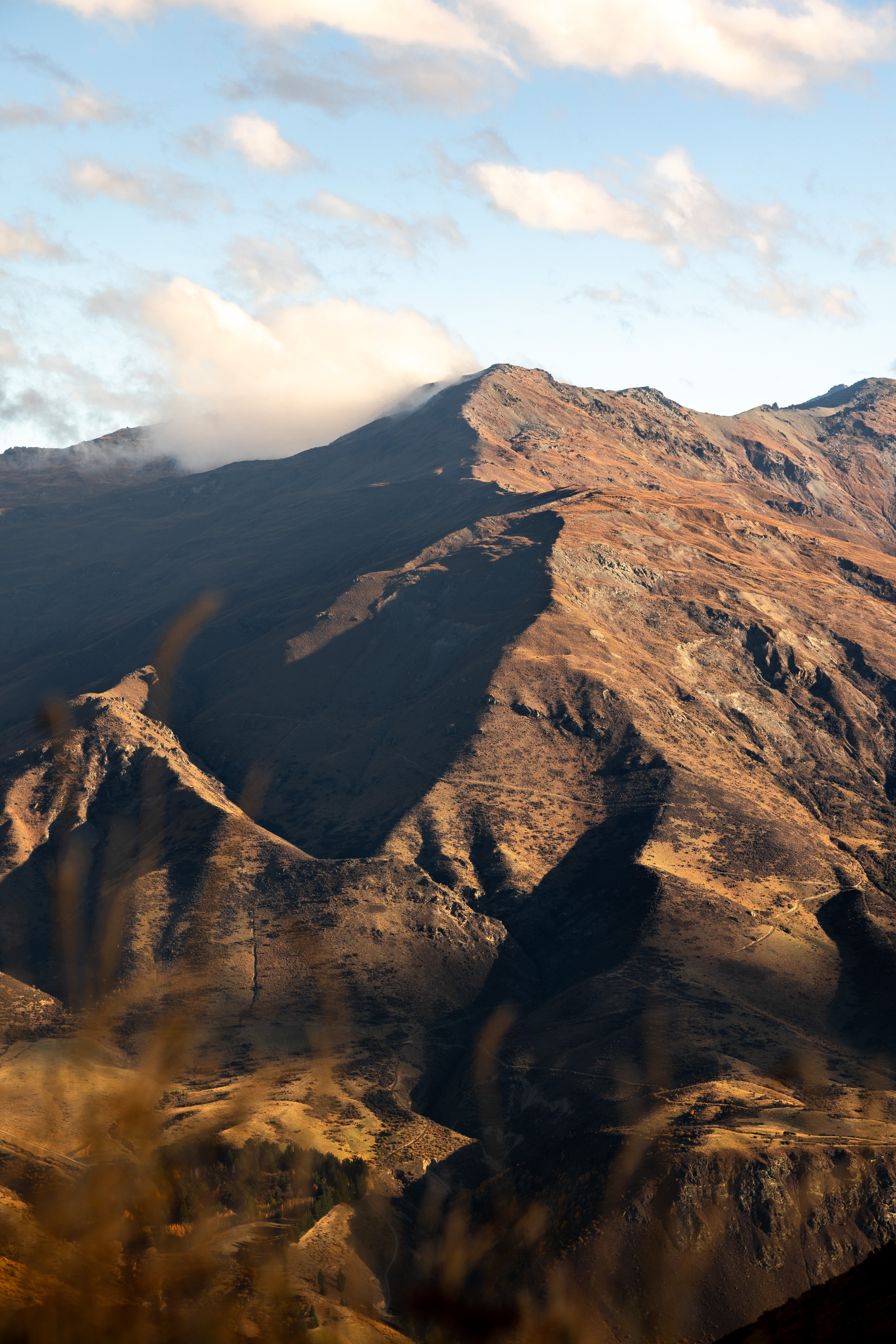 Photo of NZ- for IG1-15.jpg